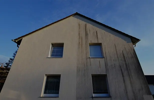 Fassadenreinigung