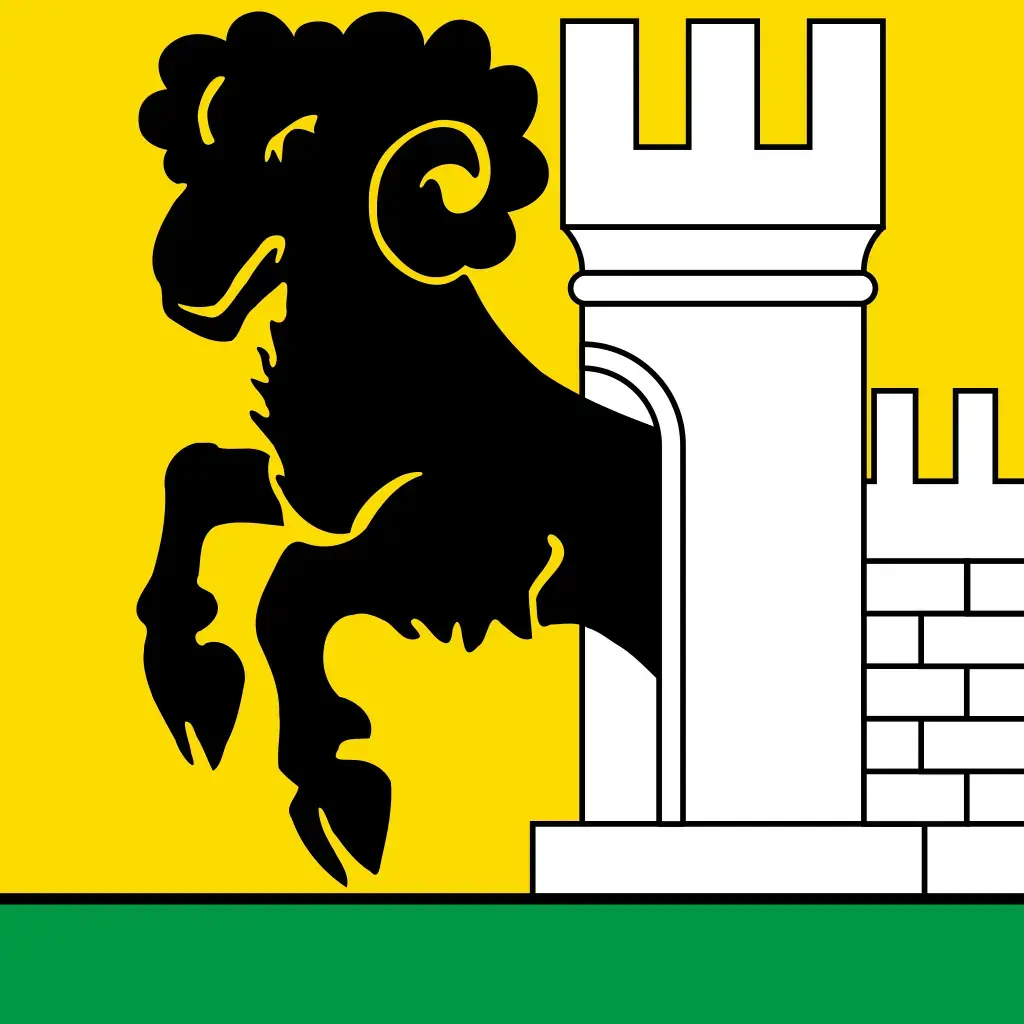 Reinigungsfirma Schaffhausen